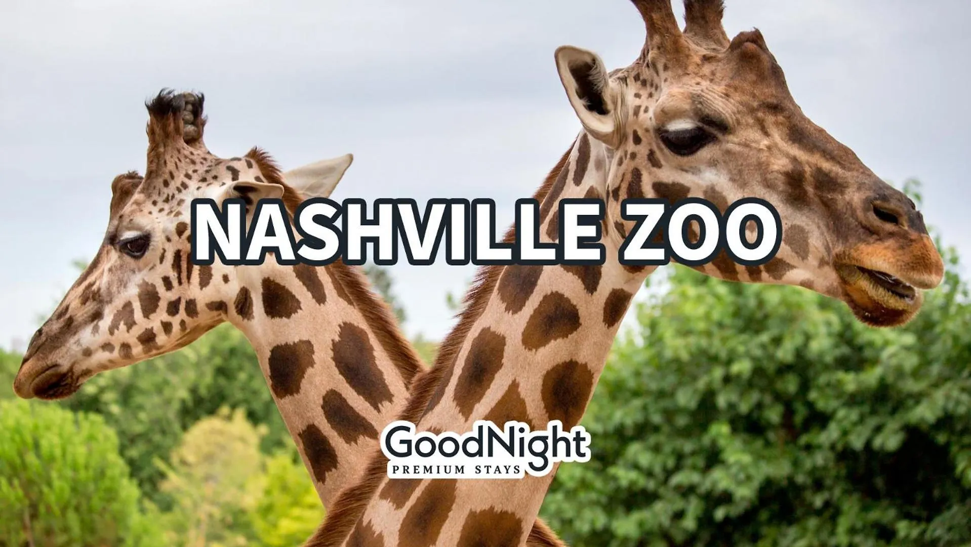 Holiday home Nighthawk-2 Bedrooms-Minutes To Geodis Park Nashville United States